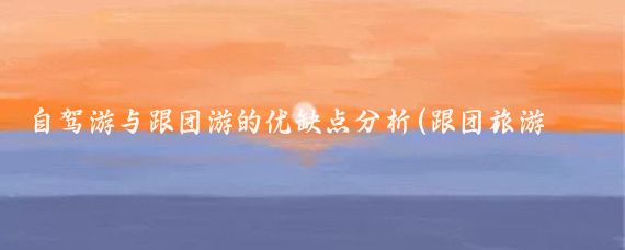 自驾游与跟团游的优缺点分析(跟团旅游和自己旅游优缺点)