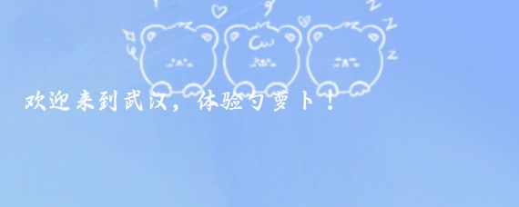 欢迎来到武汉，体验勺萝卜！