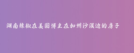 湖南辣椒在美国博主在加州沙漠边的房子卖了30万美元,//夜舞行游:我给你解释