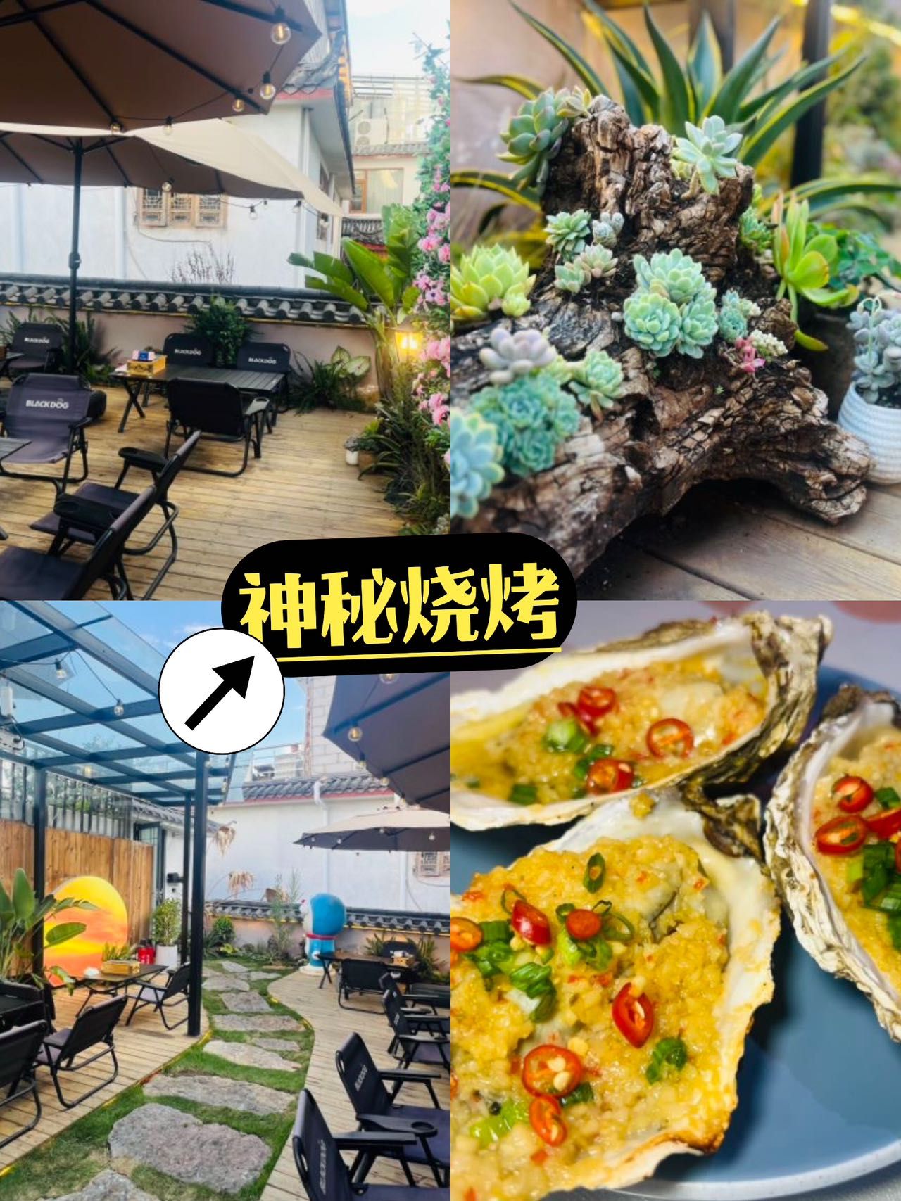 图片4
