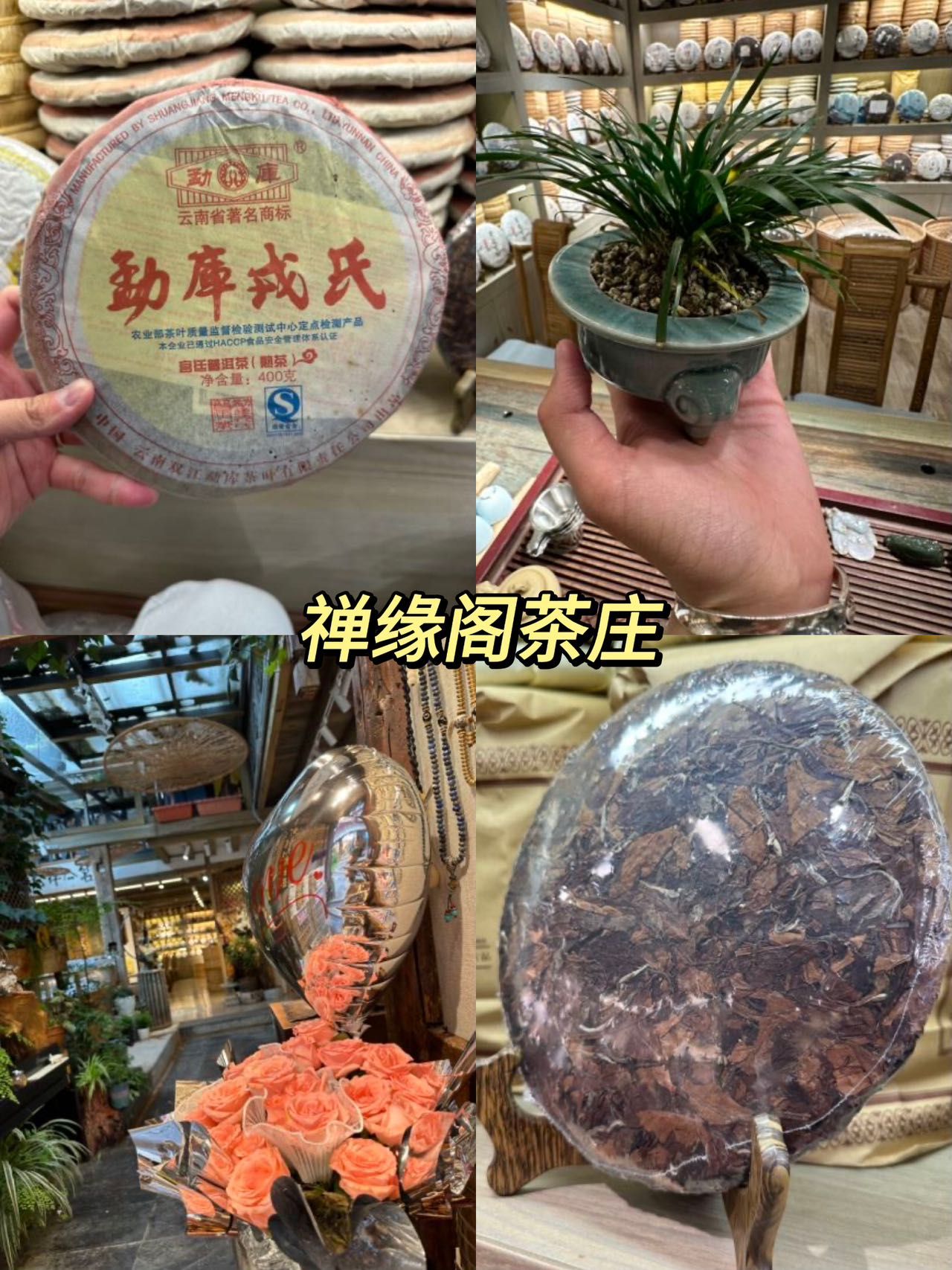 图片8