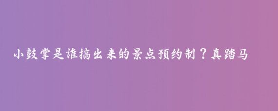 小鼓掌是谁搞出来的景点预约制？真踏马中国特色,暑假去了一趟北京，山西